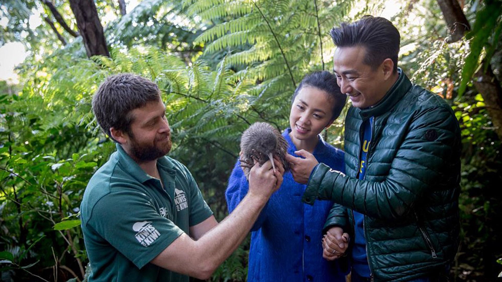 Kiwi release showing practical conservation action in New Zealand