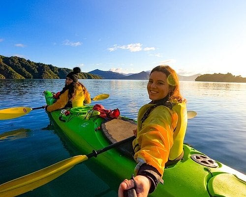 Guided sea kayaking in the sheltered waters near Picton